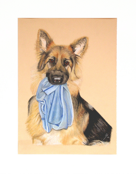 Hundeportrait