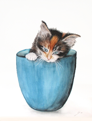 Katzenportrait
