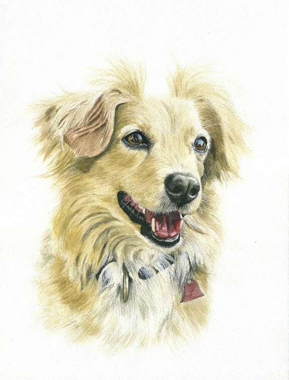 Tierportrait